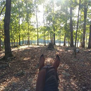 Meet your Posher, Deborah